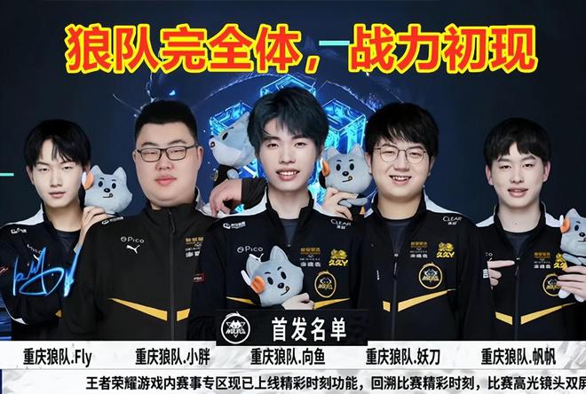 情感的大回