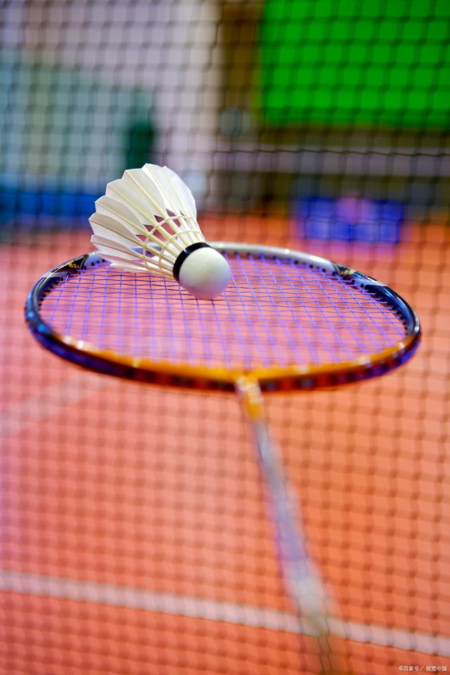 他不打算继 他不打算继