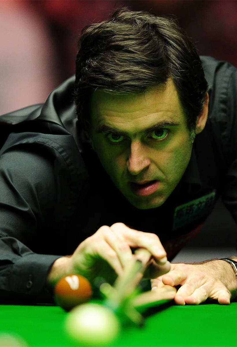 蝶泳项目中 蝶泳项目中