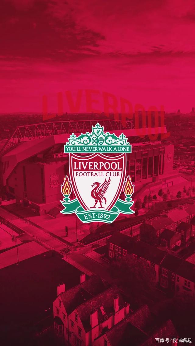 买与使用指 买与使用指